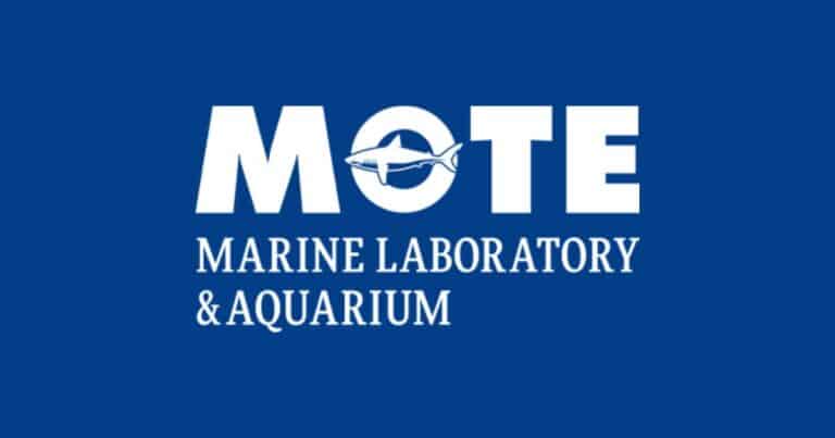 MOTE Sensory SEA